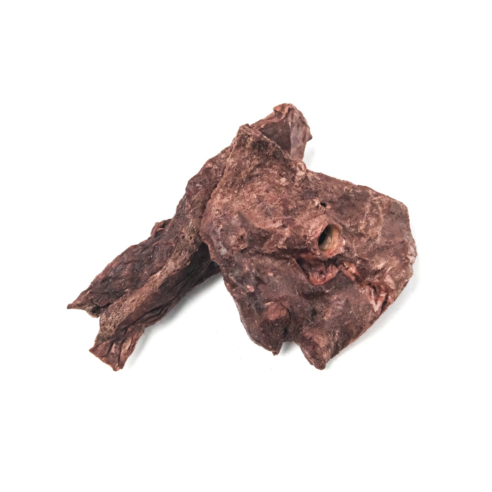 Camel Lung